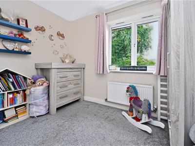 Picture 13